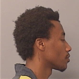 PERKINS, STEPHAN, Cook County  IL