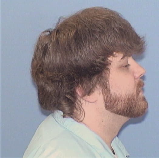 BORYLA, JOHN P., Cook County  IL