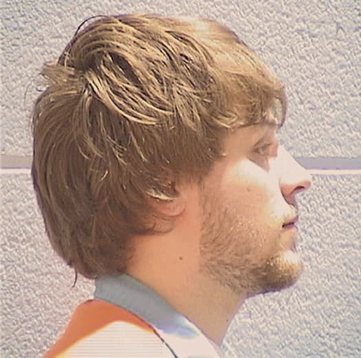 MOLDENHAUER, MASON, Will County  IL