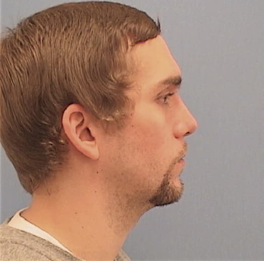 SELLERS, JUSTIN, Livingston County  IL