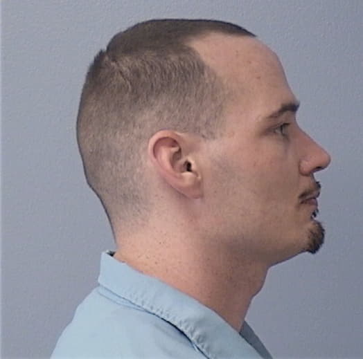 THOMPSON, BRADLEY E., Vermilion County  IL