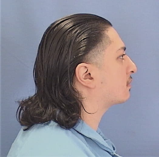 LOPEZ, CHRISTOPHER, Cook County  IL