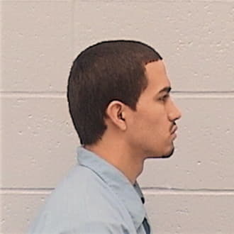 GONZALEZ, DAMEN J., Will County  IL