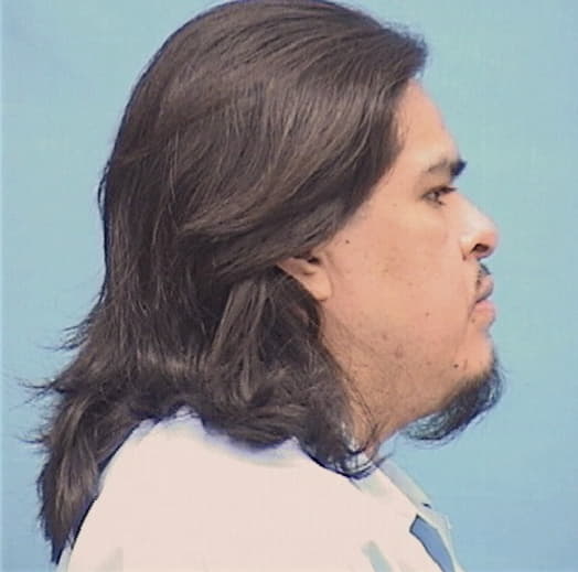 ARELLANO-AGUILA, MANUEL, Cook County  IL