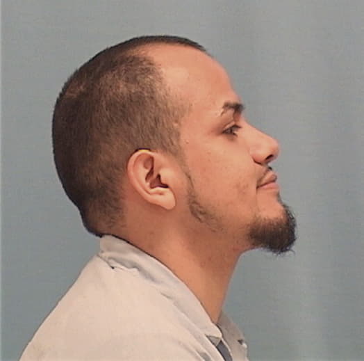 OCHOA, CARLOS, Lake County  IL