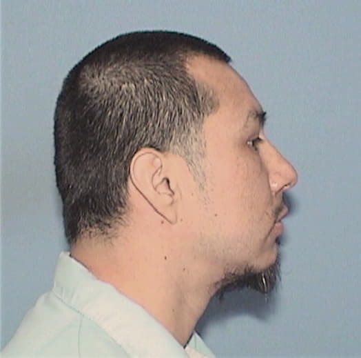 AYALA-GUZMAN, DAVID, Cook County  IL