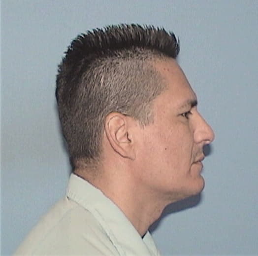 CASTELAN-DIAZ, BULMARO, Will County  IL