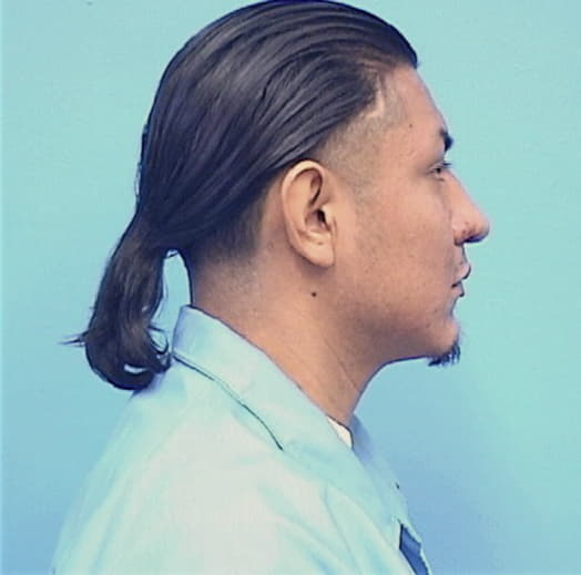 GONZALEZ, EDWARD, Cook County  IL