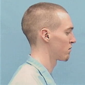MOUNT, NATHAN T., Christian County  IL