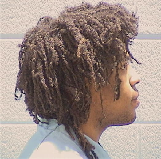 HOLMAN, TIMOTHY, Cook County  IL