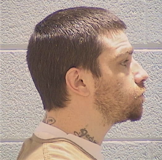 PEED, STEVEN A., Henry County  IL