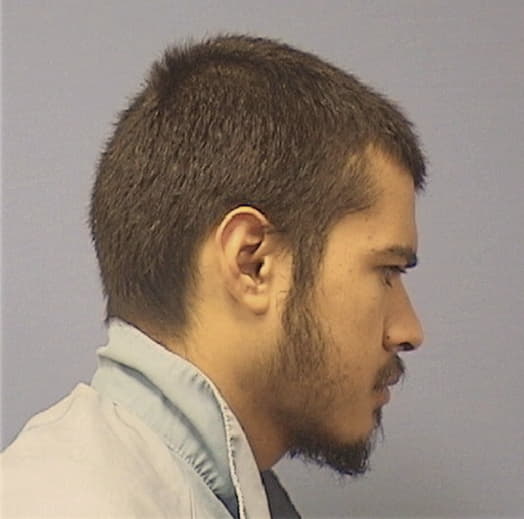 MARTINEZ, ARTEMIO, Cook County  IL
