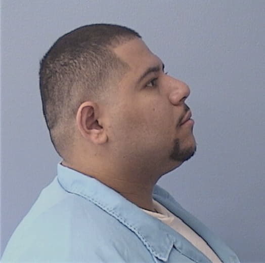 GEORGE, ABANOB, Will County  IL
