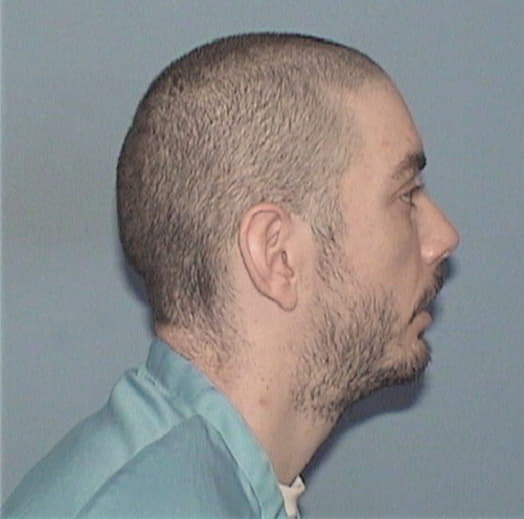 NAPOLITAN, BRANDON, McHenry County  IL