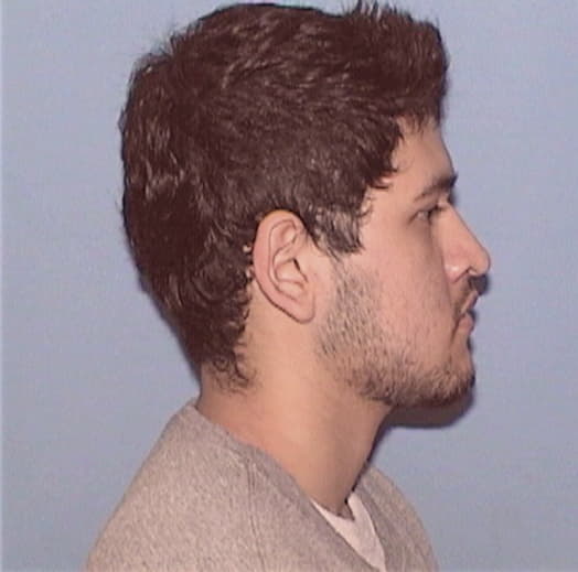 ESTRADA, BRYAN, McHenry County  IL