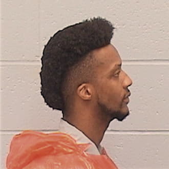 MC CLENDON, AUTAVIOUS, Vermilion County  IL