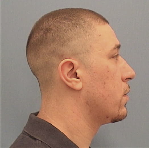 RYERSON, MICHAEL E., Will County  IL