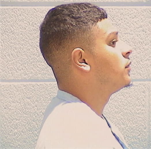 PEREZ, VINCENT A., Henry County  IL