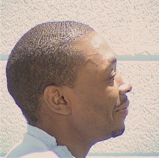 STURDIVANT, RAMELL, Cook County  IL