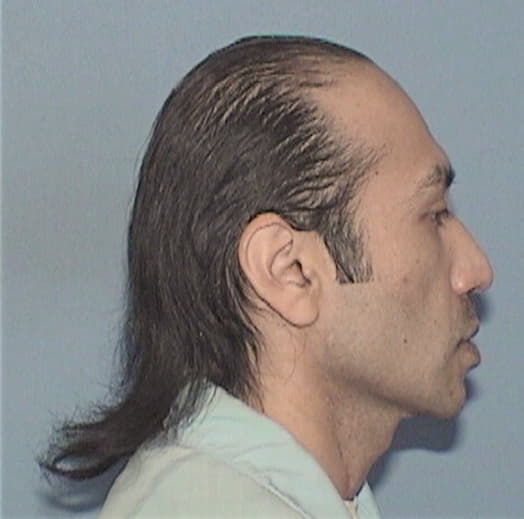 REYES, WILBERT, Cook County  IL