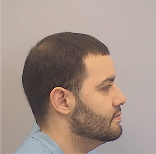 RAMIREZ, DANIEL, Cook County  IL