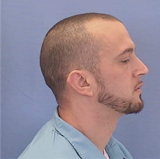 VESPA, SHAWN V., Sangamon County  IL