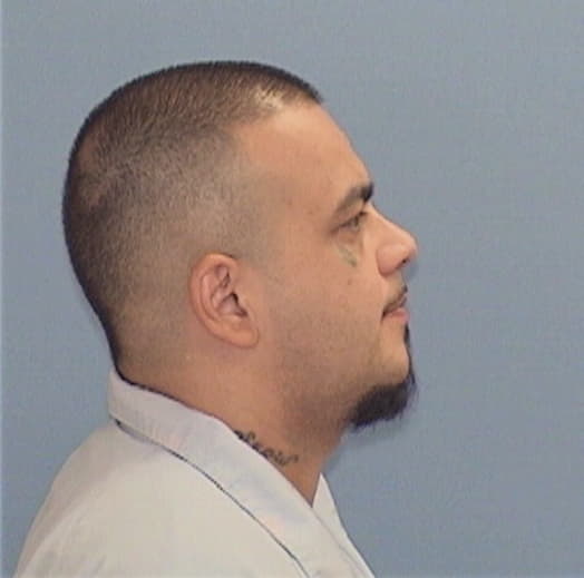 MENDOZA, MICHAEL, Cook County  IL