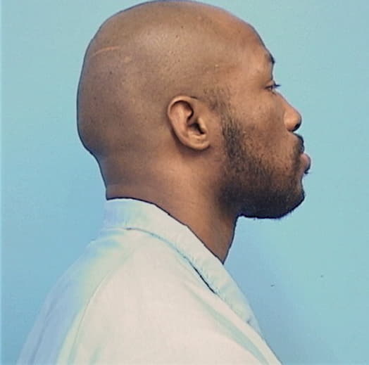 STANBACK, TERRELL D., Kankakee County  IL