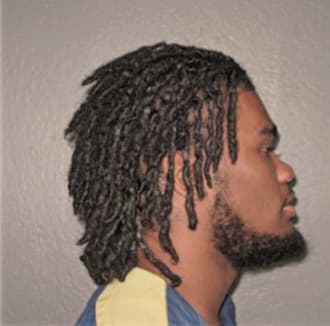 ADAMS, DEONTA, Cook County  IL