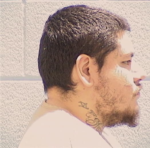 MUNOZ, NICACIO, Cook County  IL