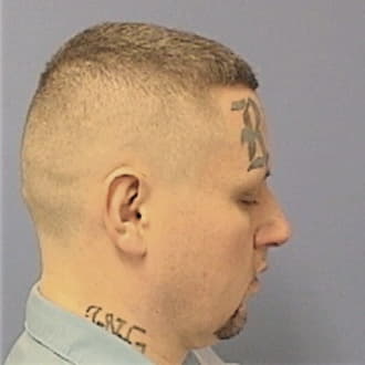 HOWARD, WILLIAM G., Sangamon County  IL