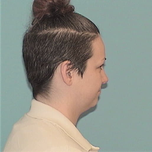 PRICE, BRIDGET L., Will County  IL