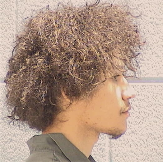 SOLIS, FREDDIE, Kendall County  IL