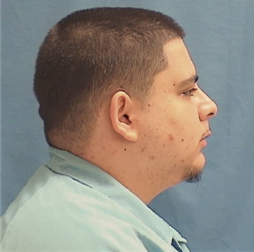 VILLARREAL, ZANE, Kane County  IL