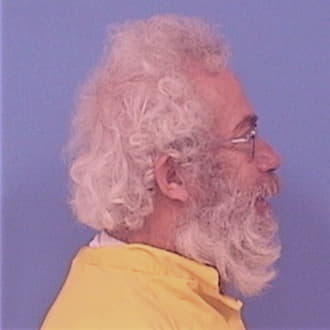 HOLZMAN, JOHN G., Lasalle County  IL