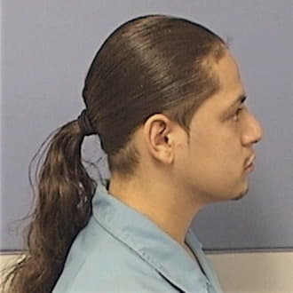 DIAZ, JORGE, Kane County  IL