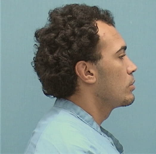 ACEVEDO, NICHOLAS, Cook County  IL