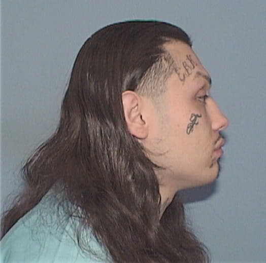 ARREDONDO, CARLOS, Cook County  IL
