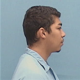 BIGELOW-LIGHTY, FERNELIS, Cook County  IL