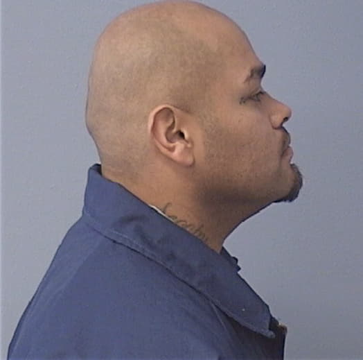 CANTU, LEOPOLDO, Kane County  IL