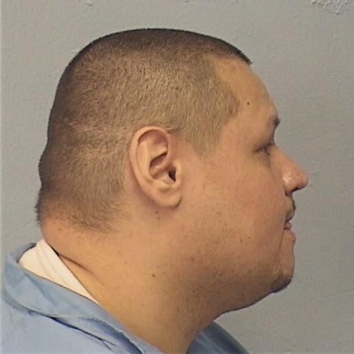 NEGRON, ALEX, Cook County  IL