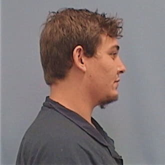 GUARINO-MOULTON, MICHAEL W, McDonough County  IL
