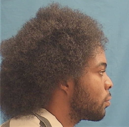 HENTON, DAVION, Cook County  IL