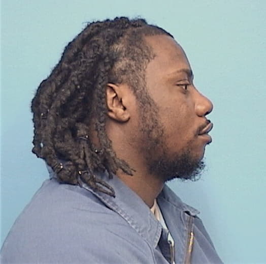 LANG, EMANUEL, Lake County  IL