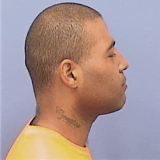 WILLIAMS, DAVID JR, Kane County  IL