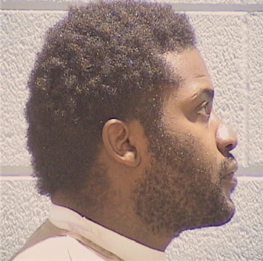 WILLIAMS, DERRICK, Cook County  IL