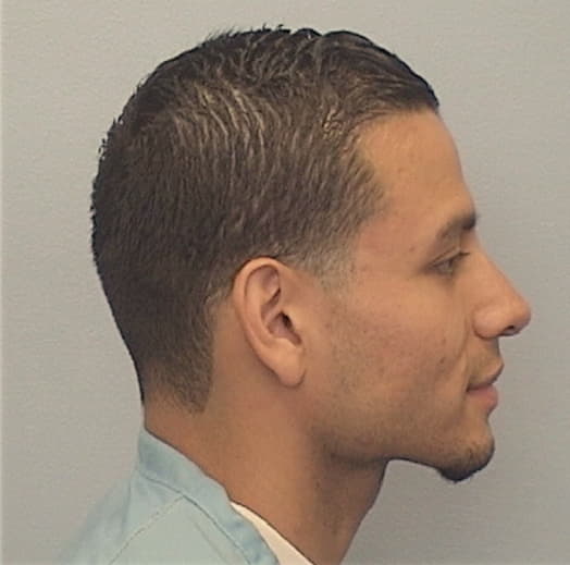 RUIZ, BRIAN, Cook County  IL