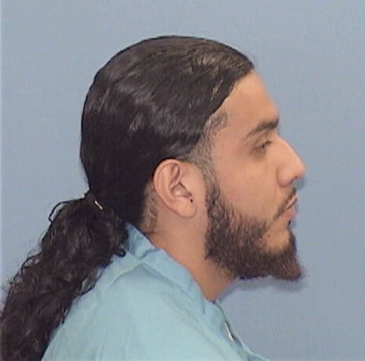 GUZMAN, GERARDO, Kane County  IL