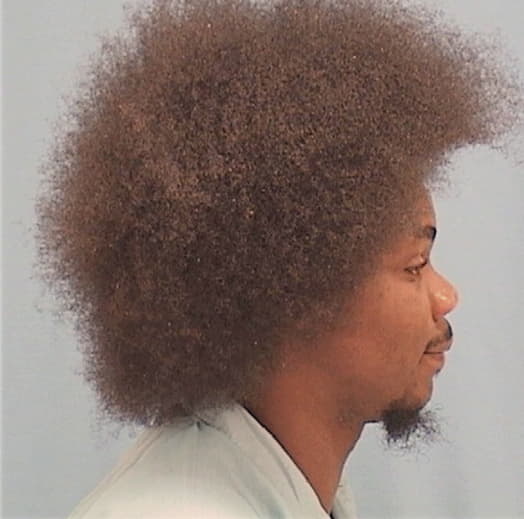 MEADS, ANTHONY L., Champaign County  IL