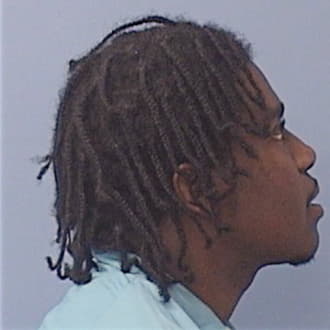 RHODES, ROBERT, Cook County  IL
